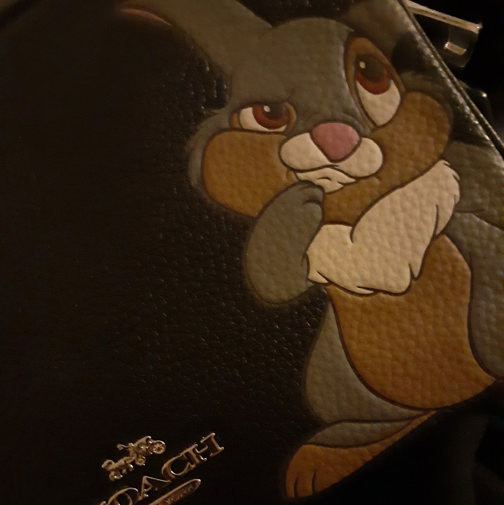 Original New Disney X Coach